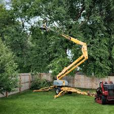 Best Tree Disease Treatment  in Centrevle, IL